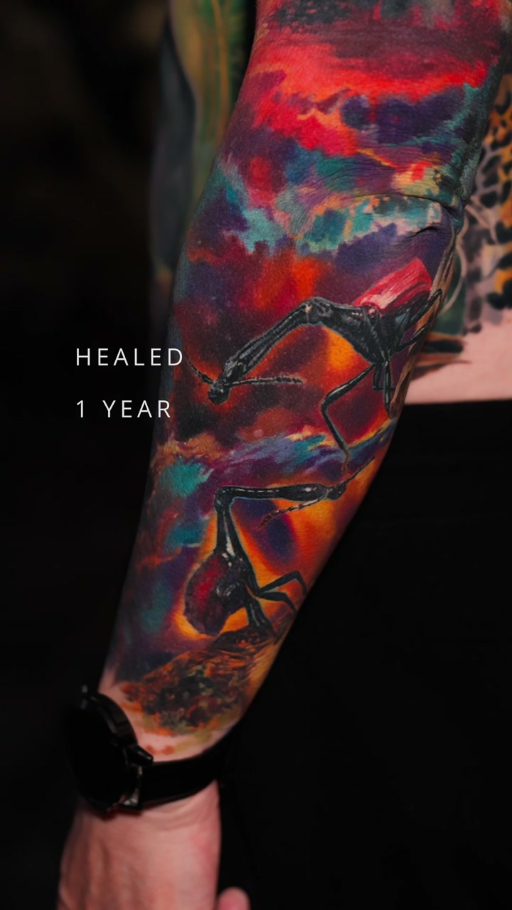 Healed color realism sleeve by Alex666cold — a unicorn and beetles on a cosmic nebula background, forearm, 1 year healed