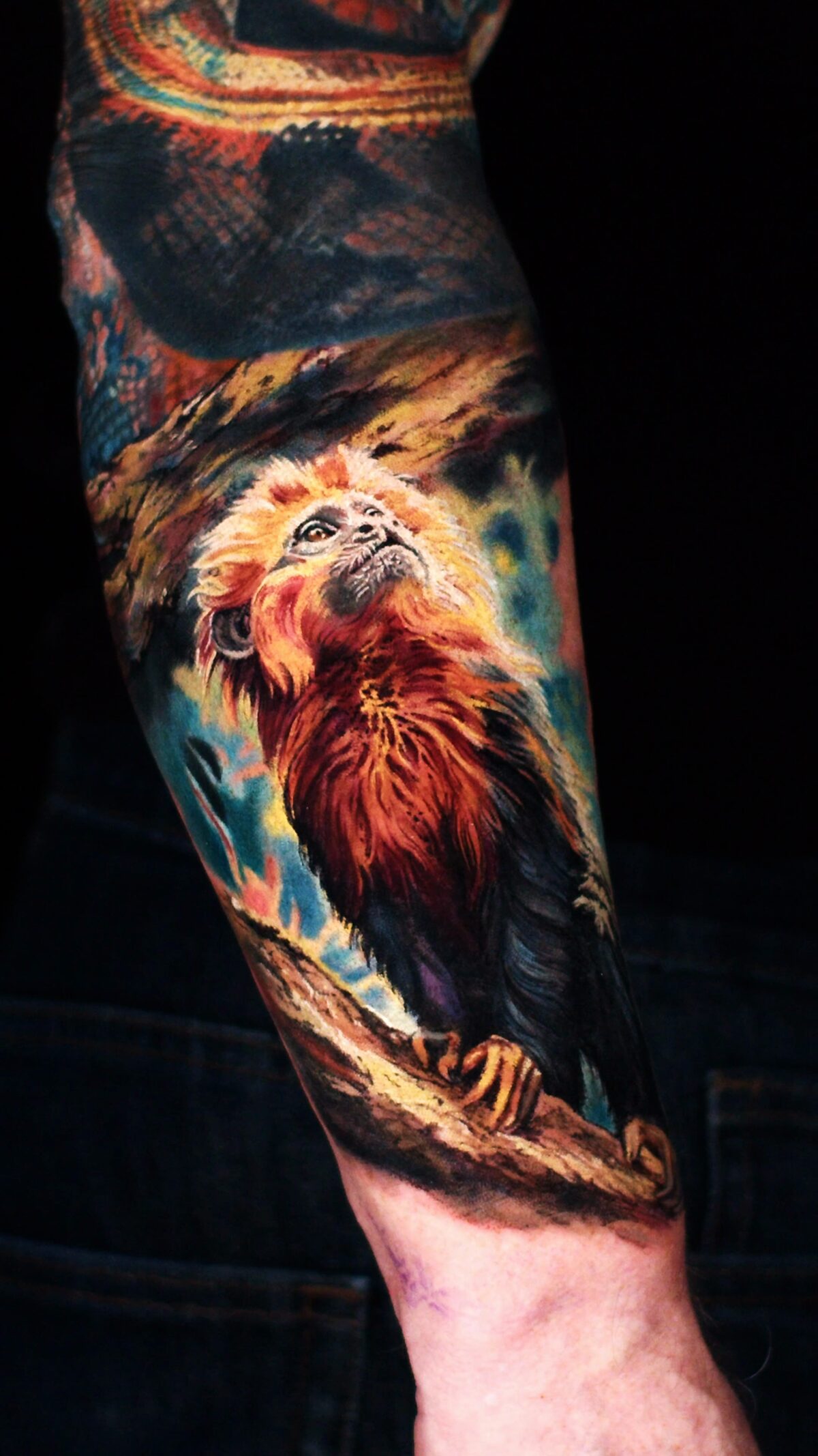 Color realism tattoo by Alex666cold — a golden lion tamarin on a turquoise background with a subtle snake, forearm
